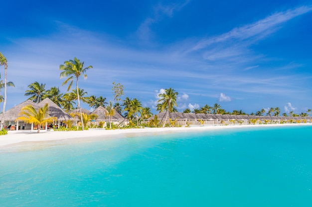 Belle île tropicale des Maldives avec plage, mer et cocotier sur ciel bleu, station de vacances