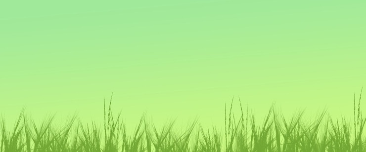 Photo une belle illustration avec un fond de nature