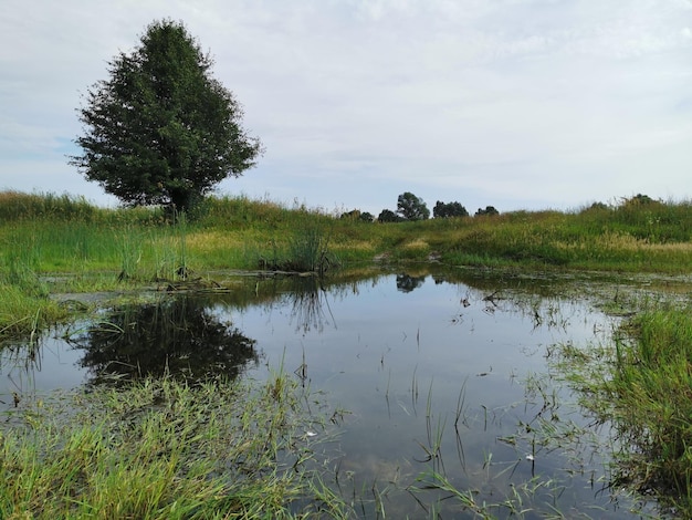 Belle image de la nature et paysage avec lac