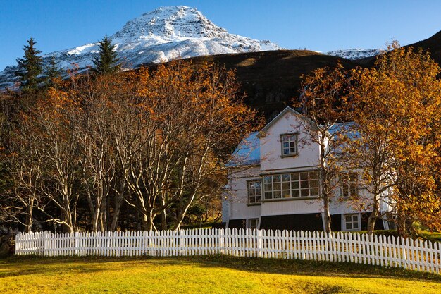 Belle image de paysage de l'Islande avec le ciel bleu de montagnes et l'herbe verte