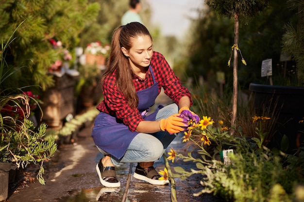 Photo une belle jardinière vêtue d'un tablier s'occupe des plantes assises sur l'allée du jardin dans la magnifique pépinière-jardin par une journée ensoleillée. .