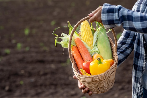 Belle jeune brune Portrait Famer Woman hand holding Vegetables in the bamboo basket