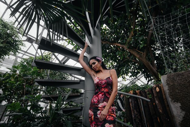 Une belle jeune brune pose près d'un escalier en colimaçon dans le jardin botanique parmi les fourrés denses de la forêt tropicale. Spa