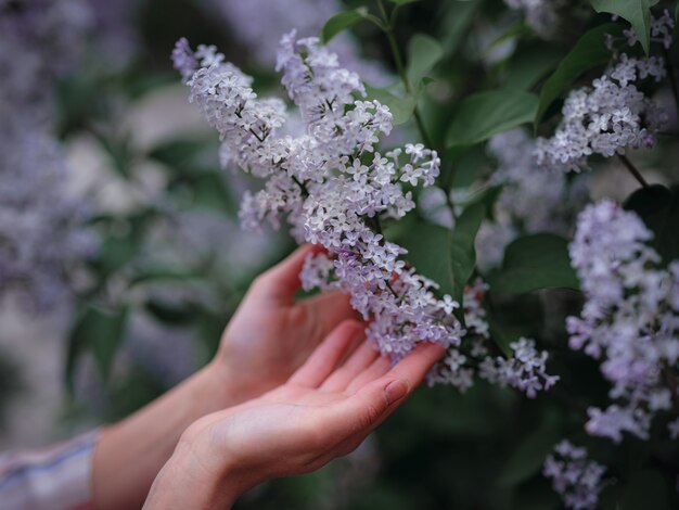 Belle jeune femme asiatique profitant de la floraison des fleurs au printemps. Maquillage nu. Gros plan des mains féminines