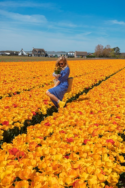 Belle jeune femme blonde vêtue d'une robe bleue tenant un panier de paille riant dans un champ de tulipes à fleurs jaunes et oranges par une journée d'été ensoleillée sur fond de ciel bleu Concept de voyage à la campagne nature