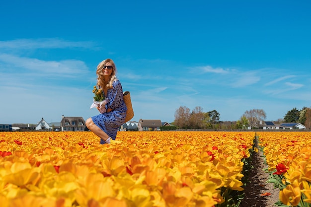 Belle jeune femme blonde vêtue d'une robe bleue tenant un panier de paille riant dans un champ de tulipes à fleurs jaunes et oranges par une journée d'été ensoleillée sur fond de ciel bleu Concept de voyage à la campagne nature