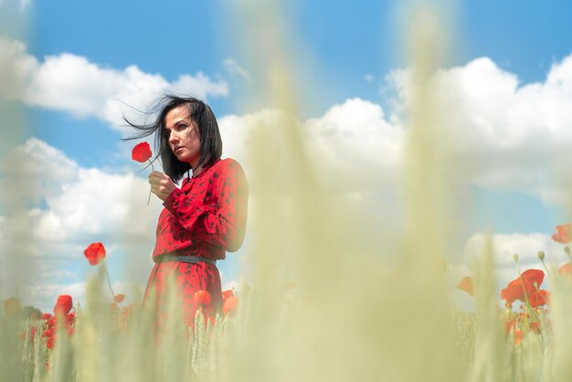 Belle jeune femme sur le champ de coquelicots de fleurs d'été