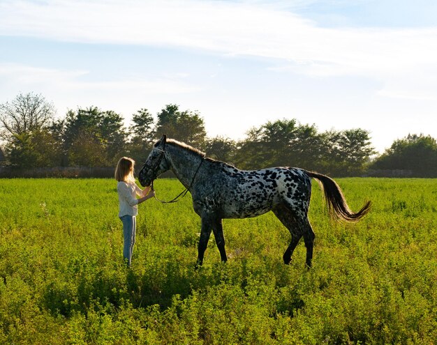 Belle jeune femme avec un cheval sur un pré vert d'été