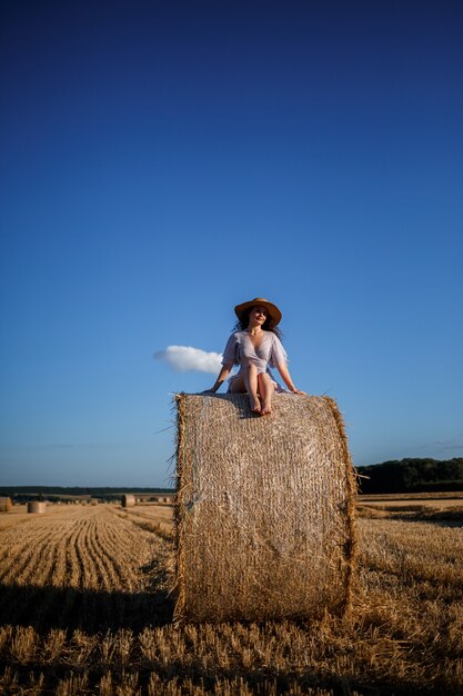 Une belle jeune femme dans un chapeau et une robe d'été est assise sur une gerbe de foin dans un champ. Nature rurale, champ de blé