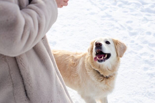 Belle jeune femme et son chien golden retriever s'amusant en hiver