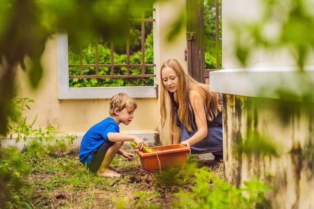 Belle jeune femme et son fils mignon plantant des semis au lit dans le jardin domestique le jour d'été Outils de jardinage gants et arrosoir à l'extérieur Activité de jardinage avec petit enfant et famille