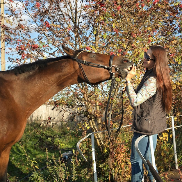 La belle jeune femme traite son cheval brun dehors