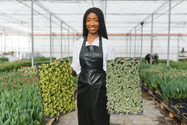 Belle jeune fille afro-américaine souriante, travailleur avec des fleurs en serre.