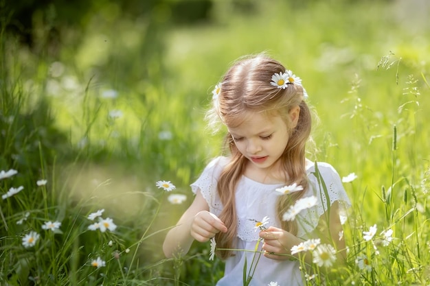 Belle jeune fille dans un champ de camomille