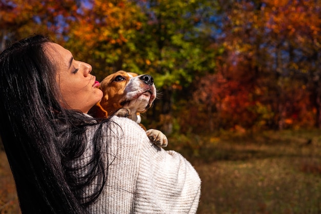 Une belle jeune fille marche dans la forêt d'automne avec deux chiens beagle actifs