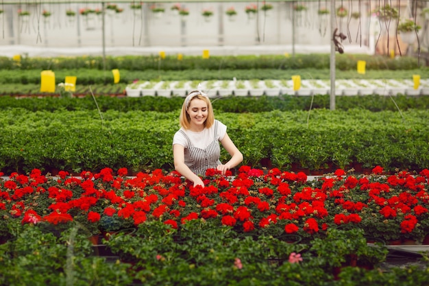 Belle jeune fille souriante, travailleur avec des fleurs en serre