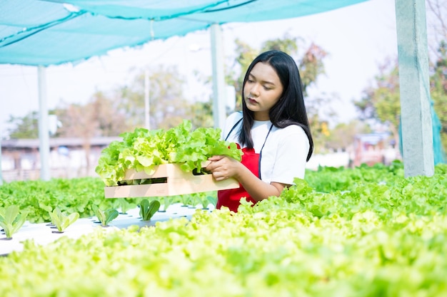 Belle jeune fille travaillant dans un système hydroponique de légumes bio petite ferme de laitue.