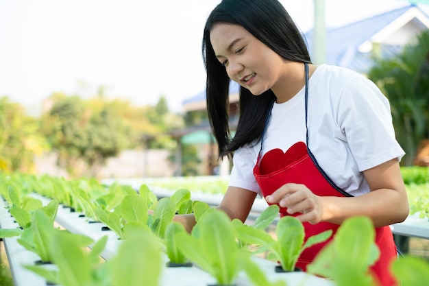 Belle jeune fille travaillant dans un système hydroponique de légumes bio petite ferme de laitue.