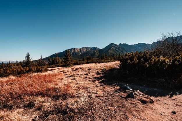 Belle journée d'été sur la vallée de Gasienicowa dans les montagnes polonaises de Tatra Trekking Hala Gasienicowa Valley Gasienicowa dans les montagnes de Tatra à Zakopane Pologne