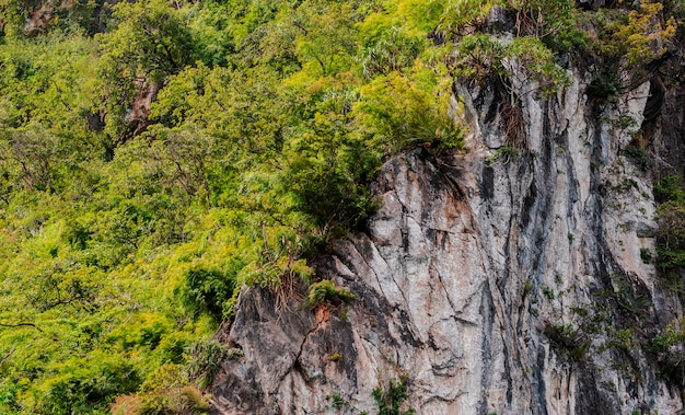 Belle journée de vacances dans le parc national de Khao Sok, Suratthani, Thaïlande