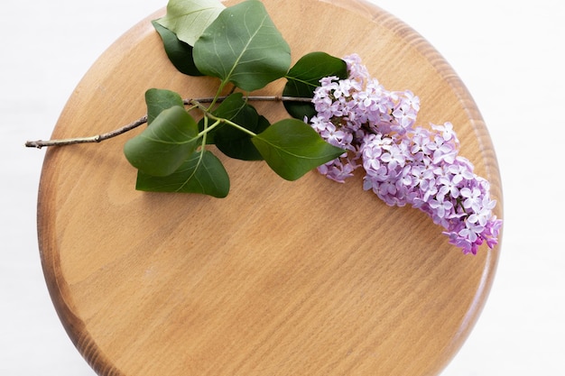 La belle lilas sur un fond en bois