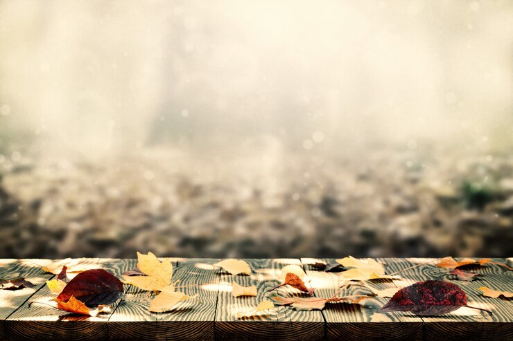 Photo belle lumière du soleil dans la forêt d'automne avec fond intérieur de plancher de planches de bois