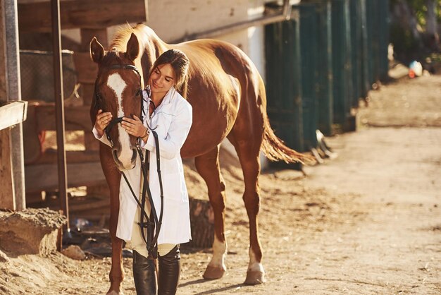 Belle lumière du soleil. Vétérinaire femelle examinant le cheval à l'extérieur à la ferme pendant la journée.