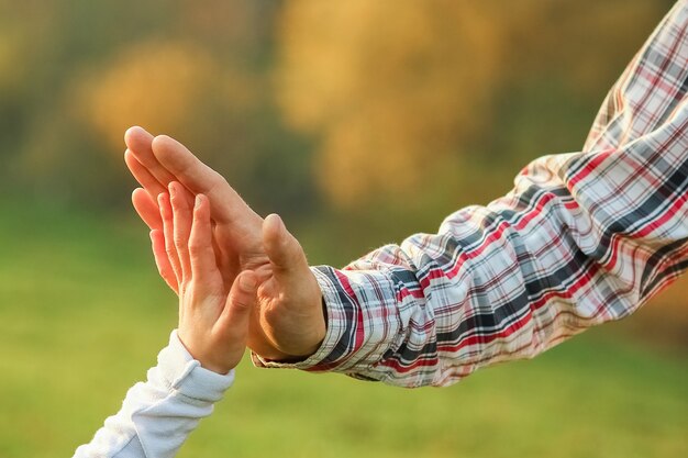 Une belle mains de parent et enfant à l'extérieur dans le parc