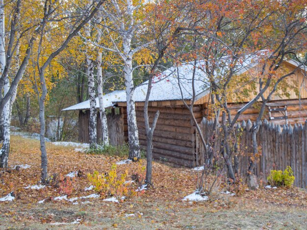 Belle maison en bois dans les bois d'automne et première neige