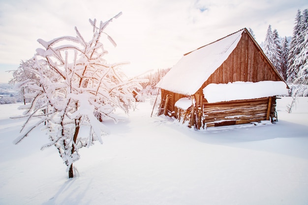 Belle maison en bois en hiver