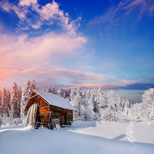 Belle maison en bois