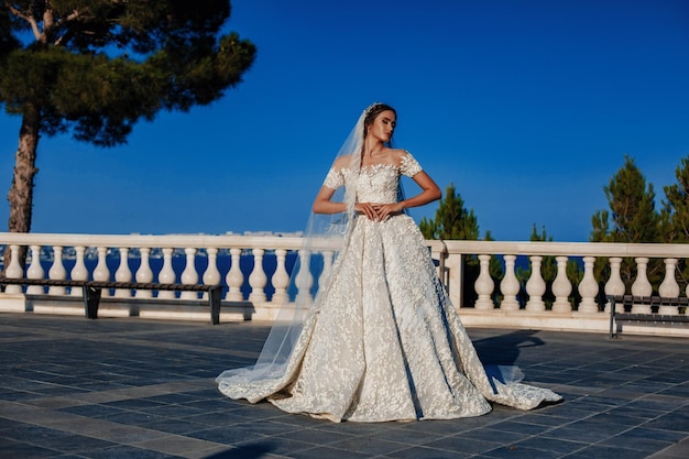 Belle mariée en robe de mariée