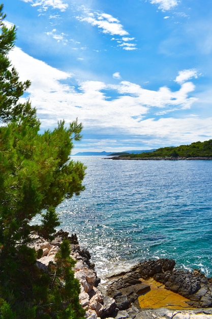 Belle mer Adriatique en Croatie. Pin vert, roches, eau turquois, photo verticale, nice