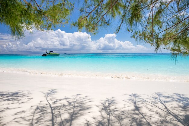 Belle mer cristalline et plage de sable blanc avec bateau à l&#39;île de Tachai, Andaman, Thaïlande