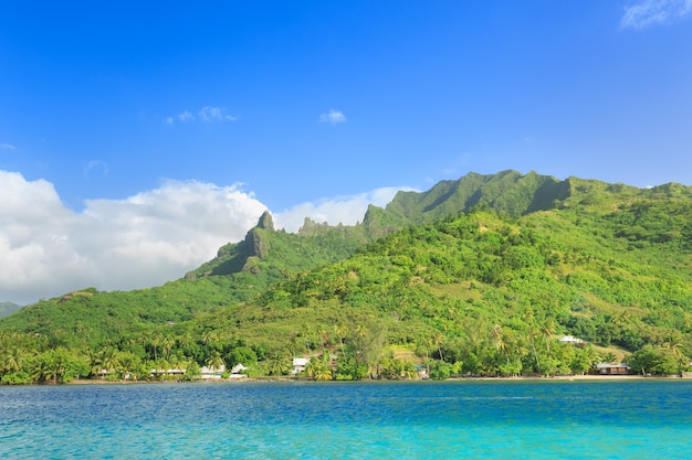 Photo belle mer et l'île des moorae à tahiti