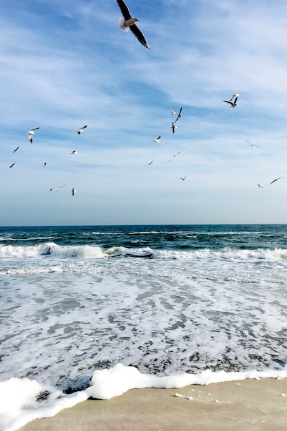 Belle mer avec des mouettes dans le ciel.