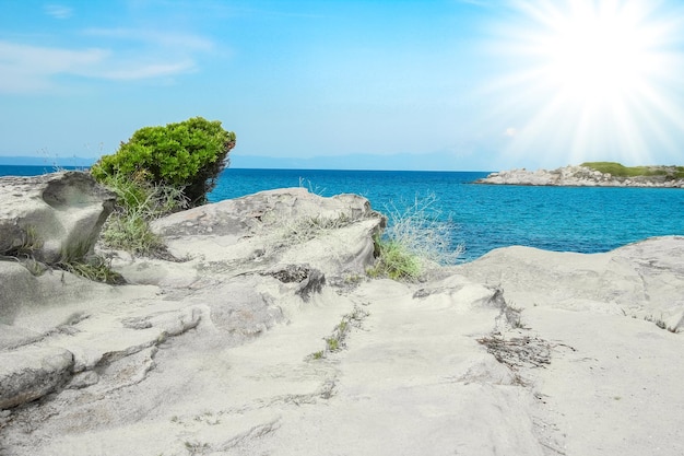 Belle mer avec rivage sur fond de nature