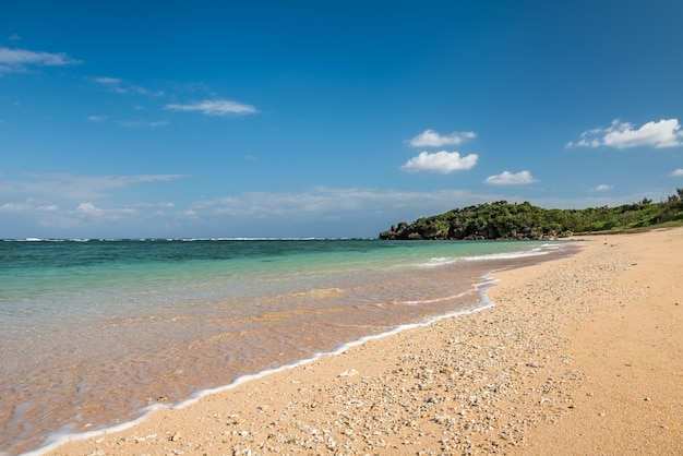 Belle mer vert émeraude translucide touchant doucement les sables de corail. L'île d'Iriomote.