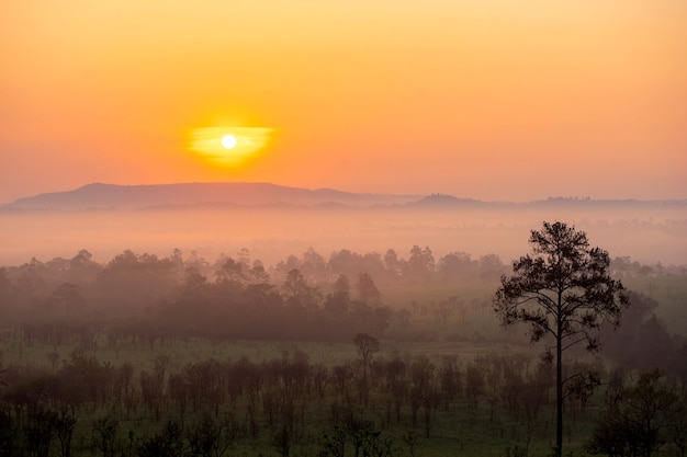 belle montagne de paysage de lever du soleil Thaïlande