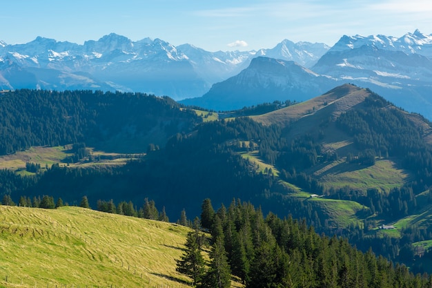 Belle montagne suisse en été