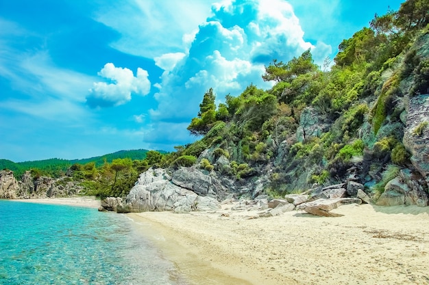 Belle nature au bord de la mer sur la nature dans le fond du parc