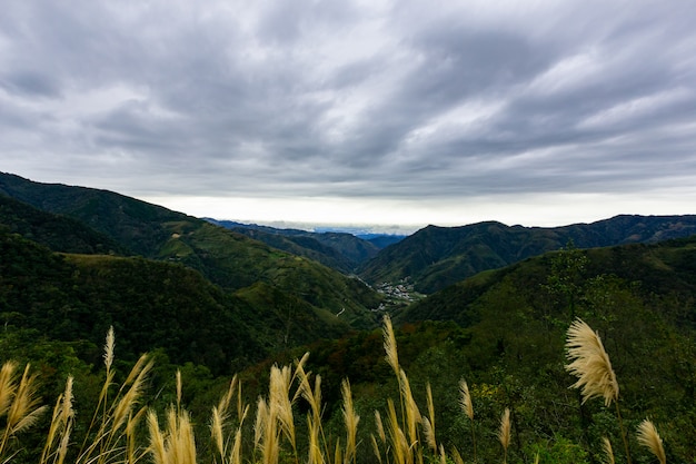 Belle nature et grandes montagnes