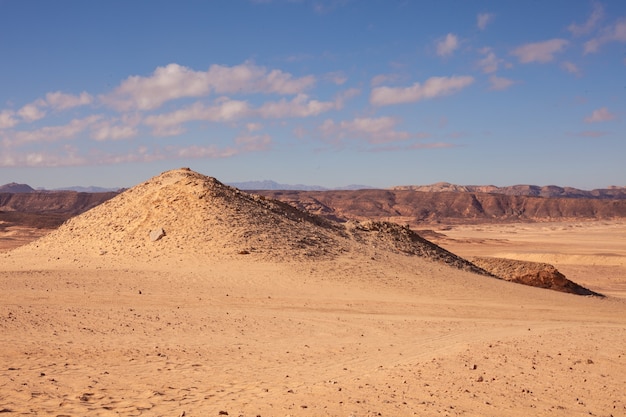 La belle nature de l'Égypte. Absinthe, ciel bleu, journée ensoleillée.