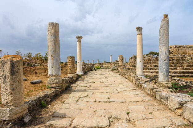 Photo la belle nature de l'île de chypre 4