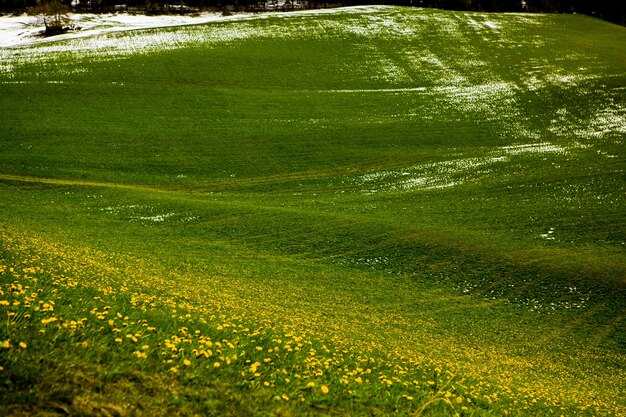 Belle nature en Italie Alpes mountaina en Europe