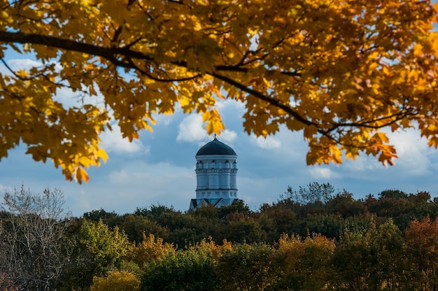 Belle nature lumineuse colorée d'automne dans le parc avec des arbres et des buissons.