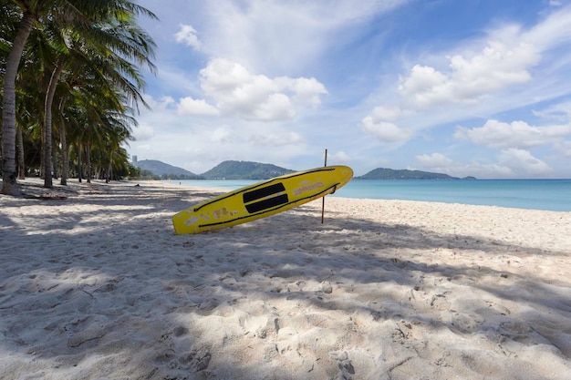 La belle nature de la mer d'Andaman et la plage de sable blanc à Patong Beach sur l'île de Phuket en Thaïlande