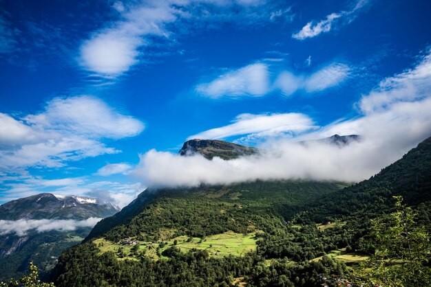 Belle Nature Norvège paysage naturel.