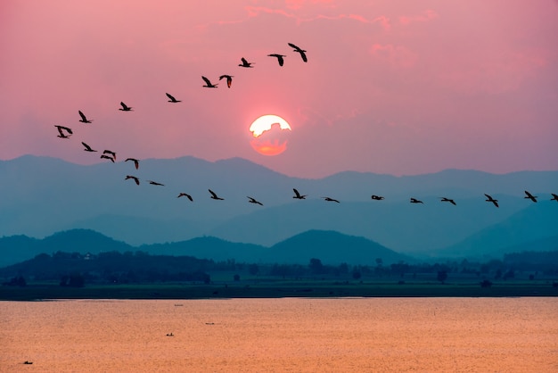 Belle nature paysage oiseaux affluent volant d'affilée au-dessus de l'eau du lac soleil rouge sur le ciel coloré pendant le coucher du soleil sur les montagnes pour le fond au barrage de Krasiao, Suphan Buri en Thaïlande