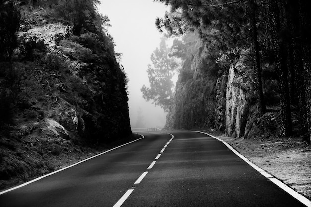 Belle nature à Tenerife Espagne